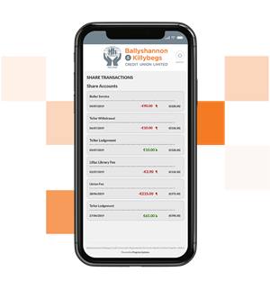 View Account Balances and Transactions