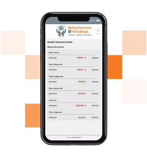 View Account Balances and Transactions